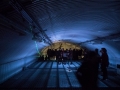 vaults5